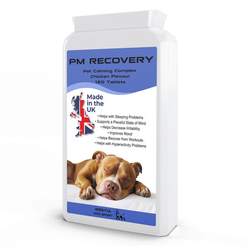 Bestia Dog Sport PM Recovery-0